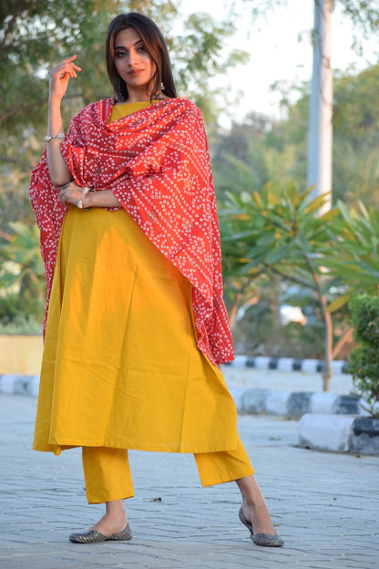 Mustard Bhandej Foil Suit Set